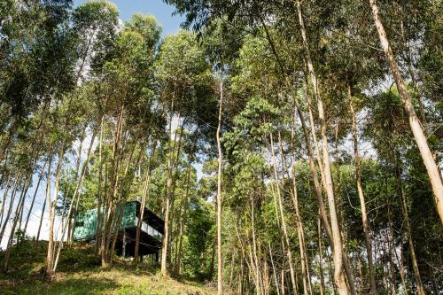 uma carrinha no meio de uma floresta de árvores em Casa Container FIGO em meio a natureza na Serra Gaúcha em Flores da Cunha