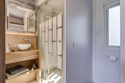 une salle de bain avec un lavabo et une douche dans l'établissement Vinéa Cottages - Hébergements Touristiques, Terrasse et Piscine privative, à Bourré