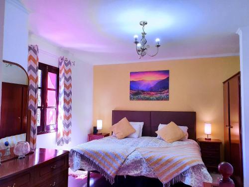 Säng eller sängar i ett rum på One bedroom villa with furnished garden and wifi at Camacha