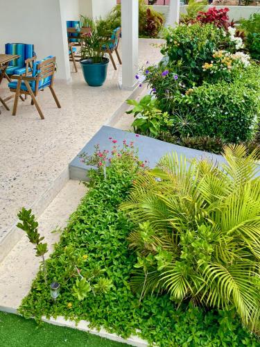 a garden with plants and tables and chairs at Vistalmar Ocean Suites in Oranjestad