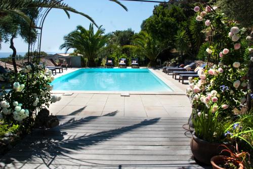 - une piscine avec des chaises et des fleurs dans un complexe dans l'établissement Ogliastrello, à Olmeto