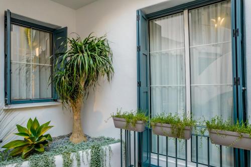 a window with potted plants on the side of a building at Apartamento Seis Lunas PA in Marbella