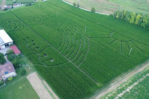 an aerial view of a field with a flower maze at La Selce Farmhouse in Bagnaria Arsa