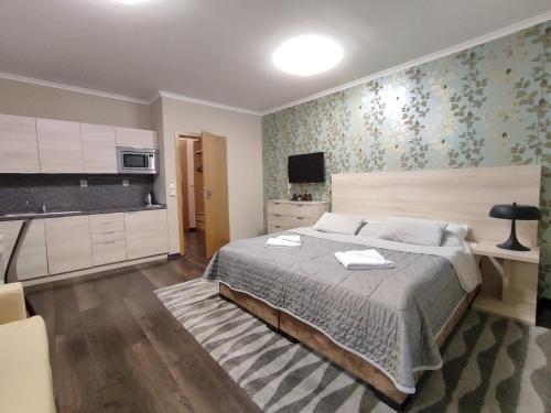 1 Schlafzimmer mit einem großen Bett und einer Küche in der Unterkunft Útulné studio s balkónem in Harrachov