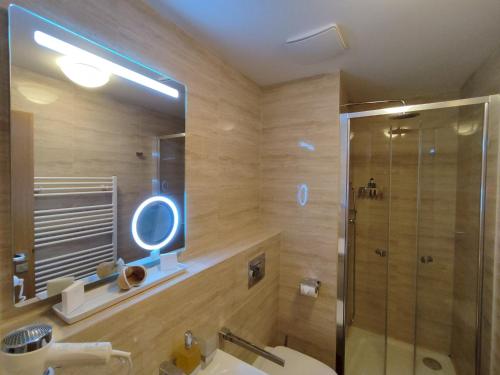 ein Bad mit einer Dusche, einem WC und einem Waschbecken in der Unterkunft Útulné studio s balkónem in Harrachov