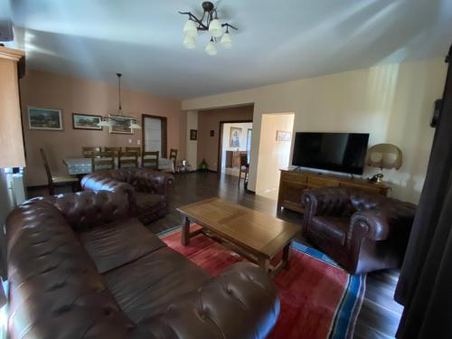 a living room with leather furniture and a flat screen tv at Apartments Villa Lora in Kraj