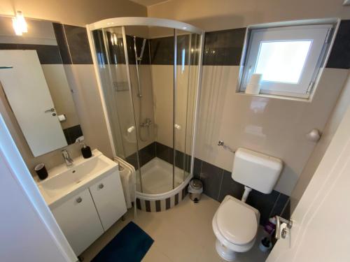 a bathroom with a shower and a toilet and a sink at Apartments Villa Lora in Kraj