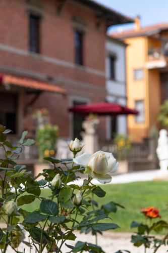 a white rose in front of a building at The Rif - Boutique Hotel in Pisa