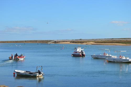 un gruppo di barche in un grande specchio d'acqua di Belar a Tavira