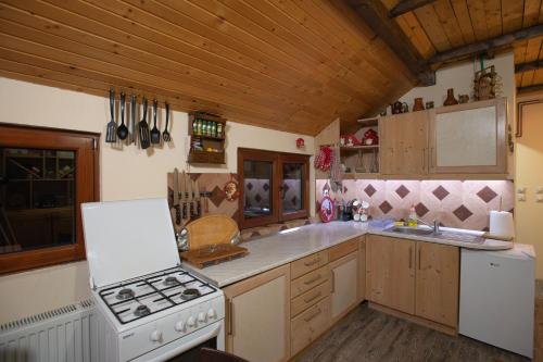 a kitchen with a stove and a white stove top oven at Apartmani SP Jovanovic in Crni Vrh