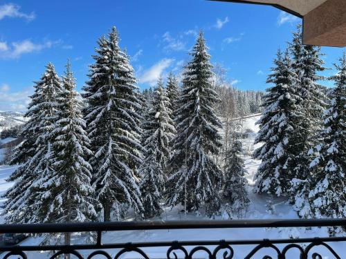 a view of snow covered trees from a balcony at Apartman Mateo Zlatar in Nova Varoš