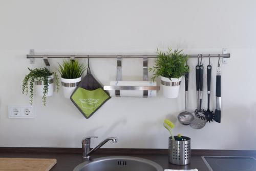 a kitchen counter with potted plants on a wall at Apartment Am Völkerschlachtdenkmal in Leipzig