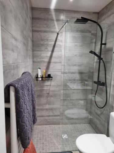 y baño con ducha, aseo y lavamanos. en Agréable maisonnette à proximité du centre-ville, en Oyonnax