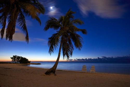 two chairs and a palm tree on a beach at Margaritaville Beach House Key West in Key West
