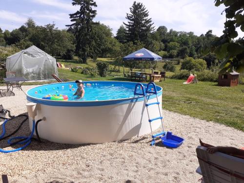 Bazén v ubytování PENZION Malá farma Nemojany nebo v jeho okolí