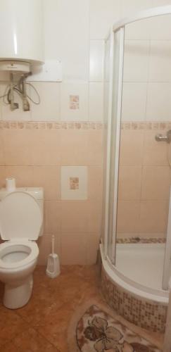 a bathroom with a toilet and a shower at Apartmán náměstí 2 in Horní Blatná