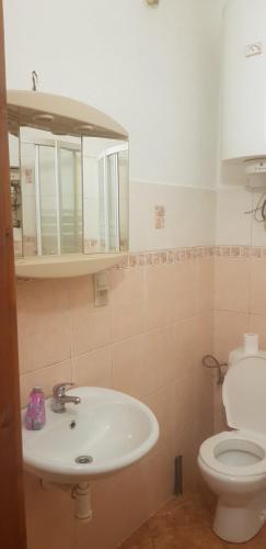 a bathroom with a sink and a toilet at Apartmán náměstí 2 in Horní Blatná