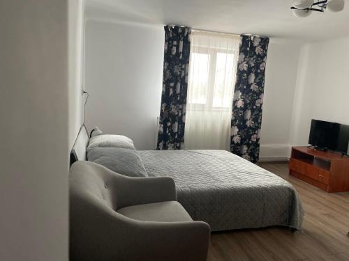 um quarto com uma cama, uma cadeira e uma televisão em Pensiunea Casa Eden em Marisel
