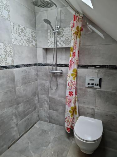 een badkamer met een toilet en een douche bij Noclegi 24/h Leszczynek in Kutno