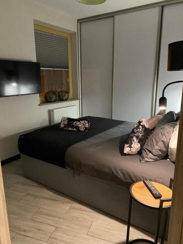 a bedroom with a bed with a television and a table at Ariel in Świnoujście