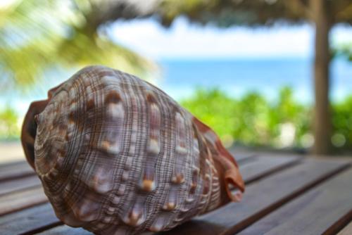 a figurine of a turtle sitting on a picnic table at Villa Malaika in Jambiani