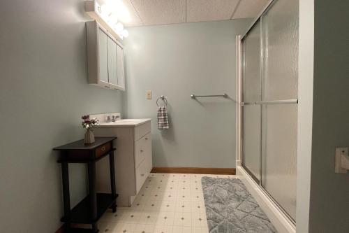 a bathroom with a shower and a sink at Spacious, Sunny Lake House! Close to ski trails. in Windsor