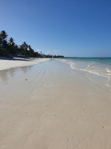 an empty beach with palm trees and the ocean at Gadea Boutique Hotel& Gadea Garden Italian Restaurant in Jambiani