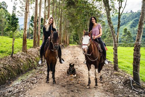 Animales en el camping o alrededores