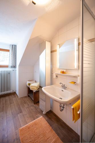 a bathroom with a sink and a mirror at Schittlerhof in Fischen