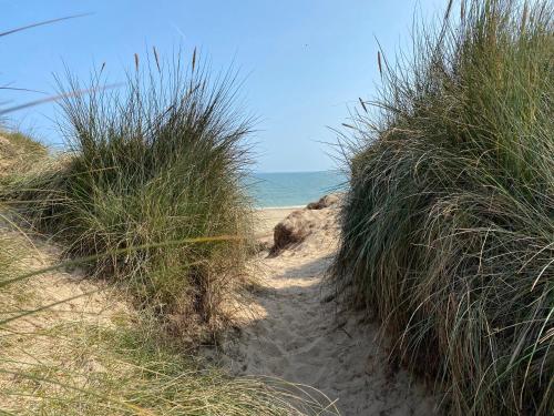 a path through some tall grass on a beach at Driftwood WINTERTON VALLEY ESTATE Dog Friendly in Winterton-on-Sea