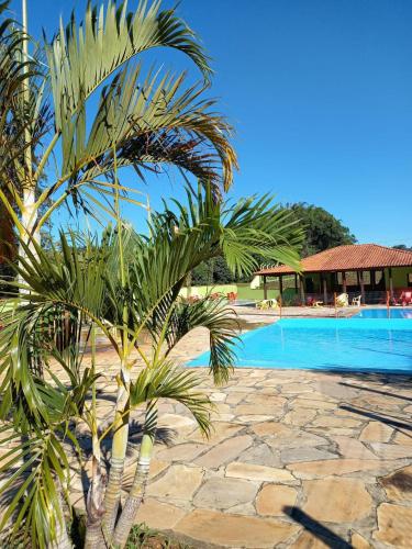 a palm tree in front of a swimming pool at Boa Vista in São Thomé das Letras