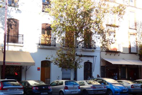 HomeySeville-Special Apartment Arenal 6 pax, Parking Optional