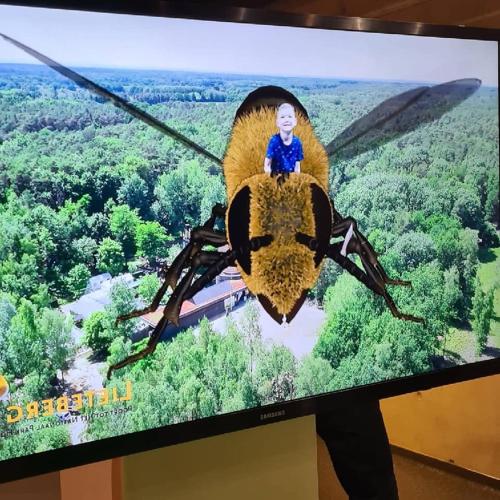 Chalet Luxeにあるテレビまたはエンターテインメントセンター