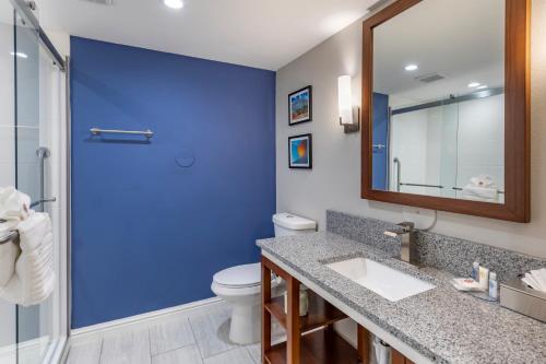 Vonios kambarys apgyvendinimo įstaigoje Comfort Suites St Louis - Sunset Hills