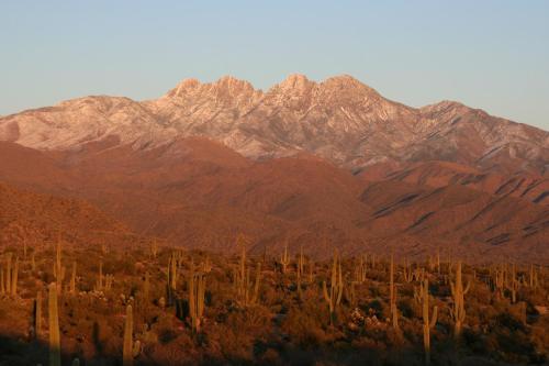 Desert Gem – Photos 2