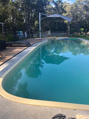 a swimming pool with blue water in a yard at Twin Falls Bush Cottages in Fitzroy Falls