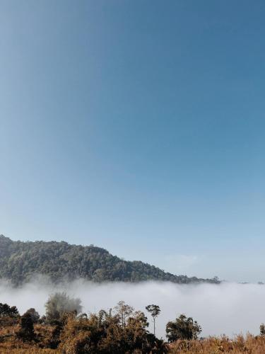 Gallery image of Moane in Khao Kho