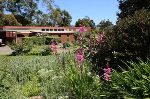 Κήπος έξω από το Bridgecroft House - Spacious & serene family home