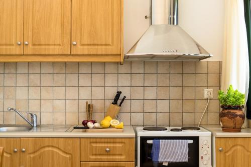 Η κουζίνα ή μικρή κουζίνα στο Koxyli Studios & Apartments 