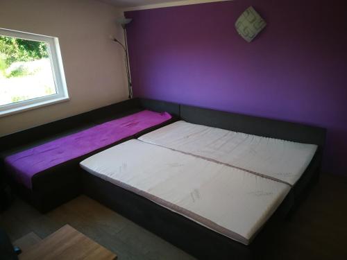 a small room with a bed and a window at "Porodica MARKOVIC" Borsko jezero in Beljevina