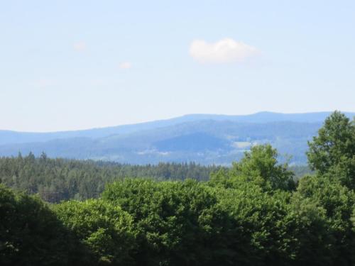 a view of the mountains from the forest at Ferienhof Landhaus Michael in Böbrach