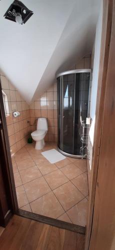 a bathroom with a toilet in a attic at Apartament Huba in Huba