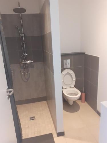 une salle de bain avec toilettes et douche dans l'établissement Le Studio Polichinelle, à Gérardmer