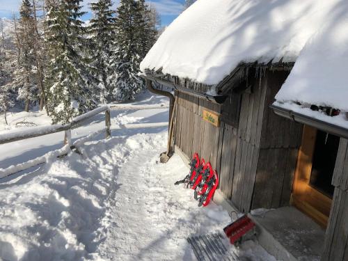 Chalet Pehta Velika Planina semasa musim sejuk