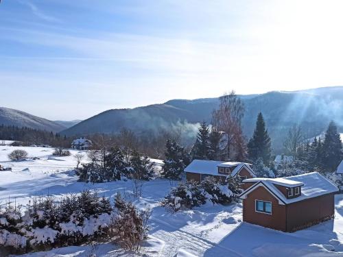 a house in the snow with mountains in the background at Wetlina 21 in Wetlina