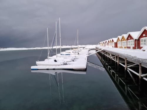 a group of boats are docked at a dock at Kjerringøy Bryggehotell in Bodø