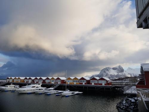 a group of boats docked in a marina with mountains at Kjerringøy Bryggehotell in Bodø