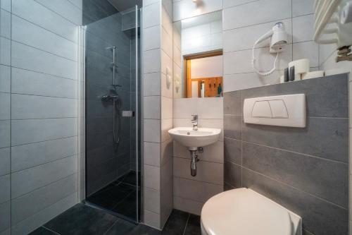 a bathroom with a shower and a toilet and a sink at Rysy in Bukowina Tatrzańska