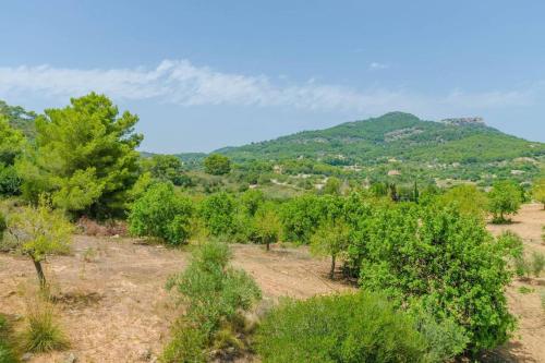 un campo de árboles con montañas en el fondo en Es Turó de França, en Calonge