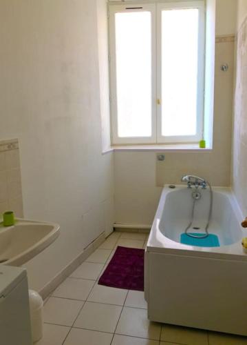Koupelna v ubytování Appartement Grand-duc